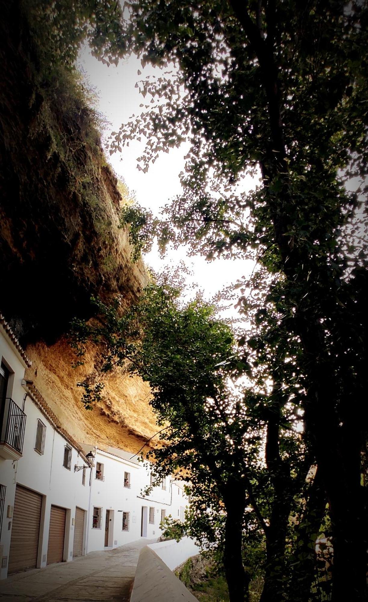 Casa Cueva Las Chicas Del Puente Setenil De Las Bodegas Eksteriør billede